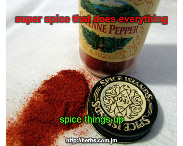 Cayenne Pepper Health Benefits