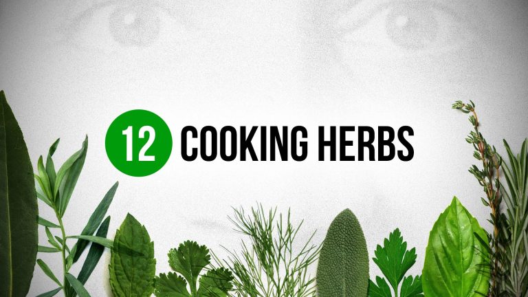 Cooking Herbs to promote Health