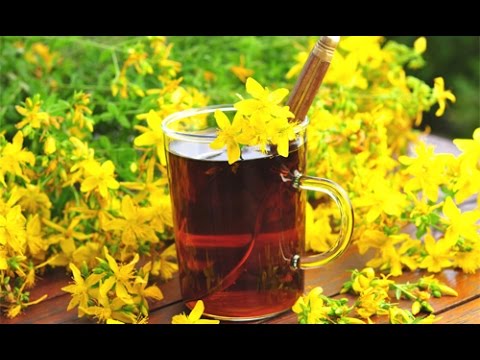 Herbal Depression Medicine St Johns Wort