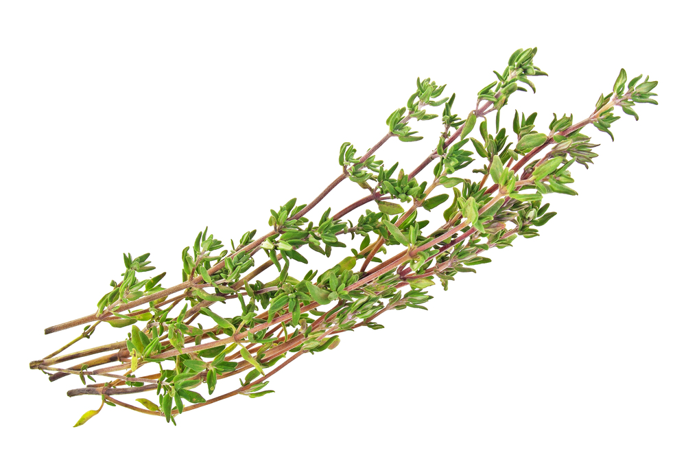 Health Benefits of Thyme