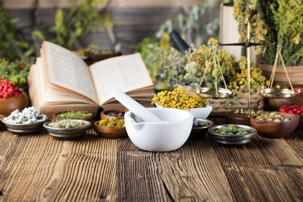 Culinary Properties of Herbs and Shrubs