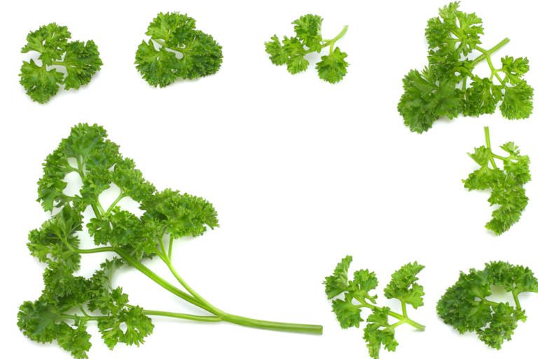 Parsley Health Benefits and Recipes