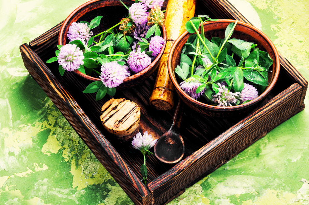 7 Incredible Healing Herbs